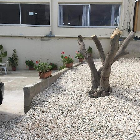 Ellenapa Apts & Studios Ayia Napa Luaran gambar